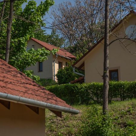 Tulipan Apartman Eger Exterior foto